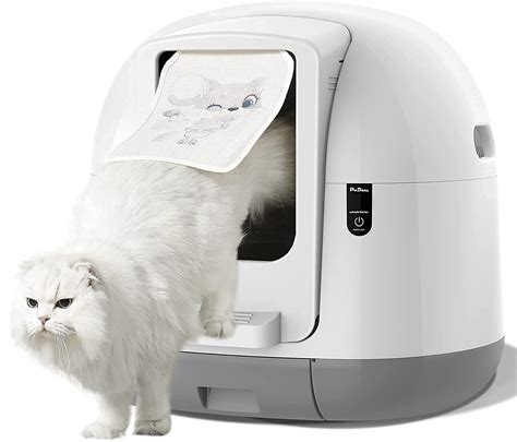 electric cat box cleaner|litter box disinfectant.